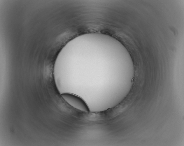 X0000113300768200910051042