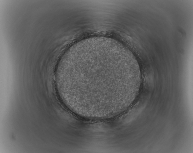 X0000113300769200910051041