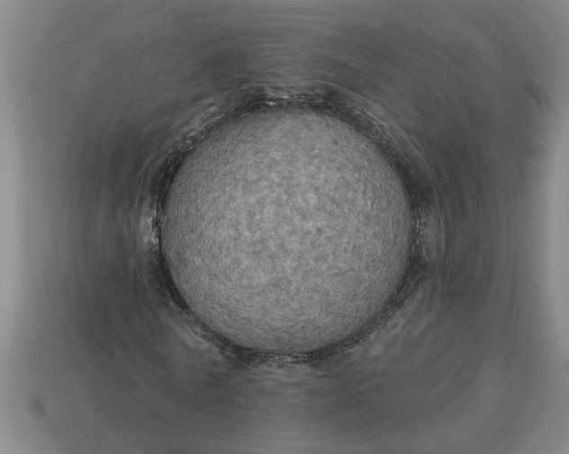 X0000113300770200910051041