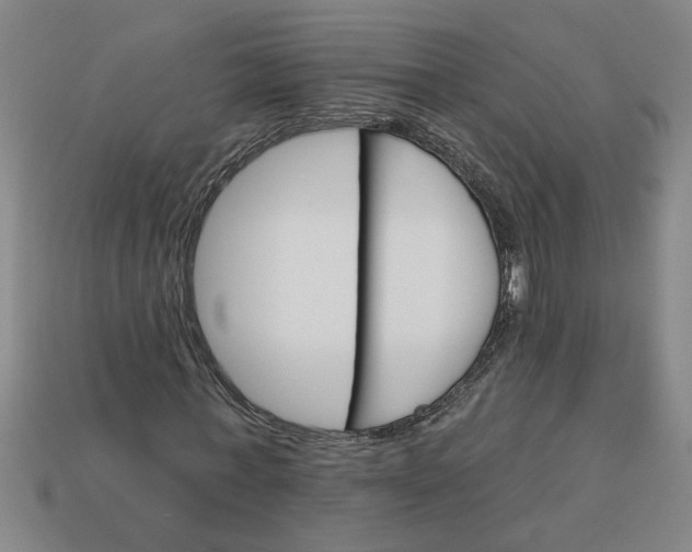 X0000113300771200910051041