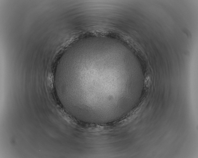 X0000113300772200910051041