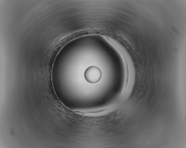 X0000113300773200910051041