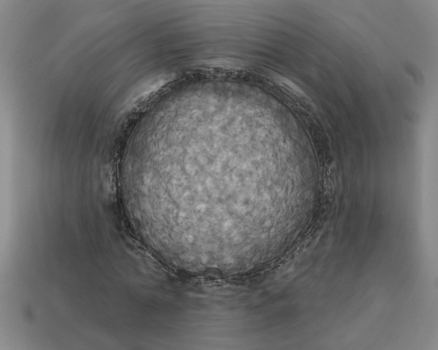 X0000113300774200910051041