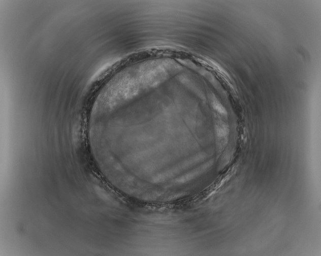 X0000113300775200910051041