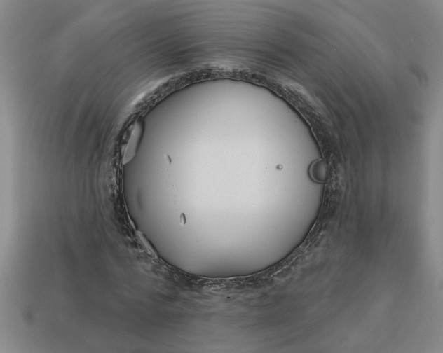 X0000113300776200910051041