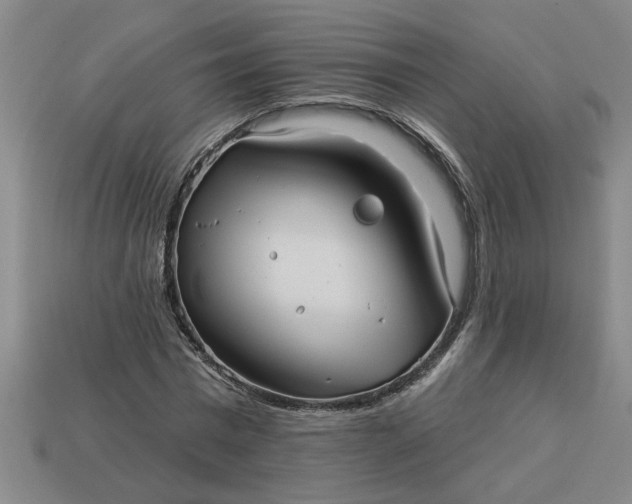 X0000113300777200910051041