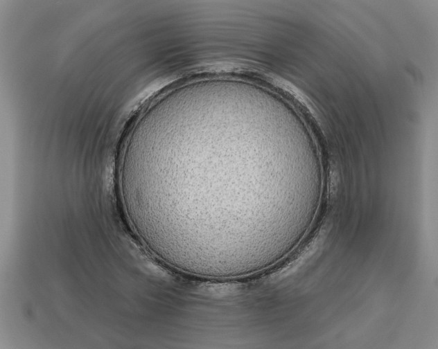 X0000113300778200910051041