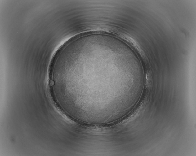 X0000113300780200910051041