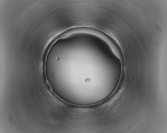 X0000113300781200910051041