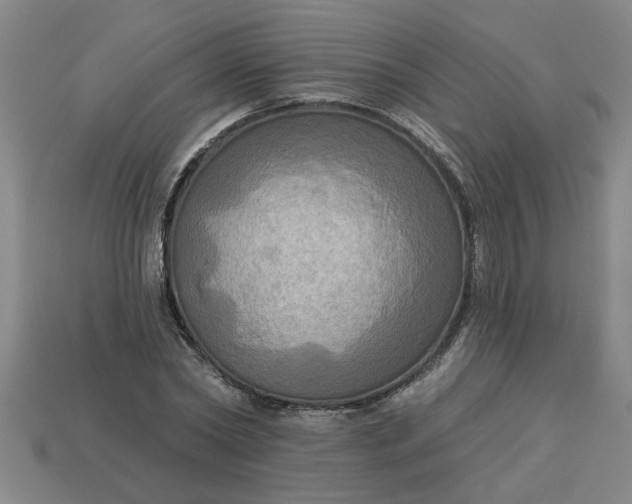 X0000113300782200910051041