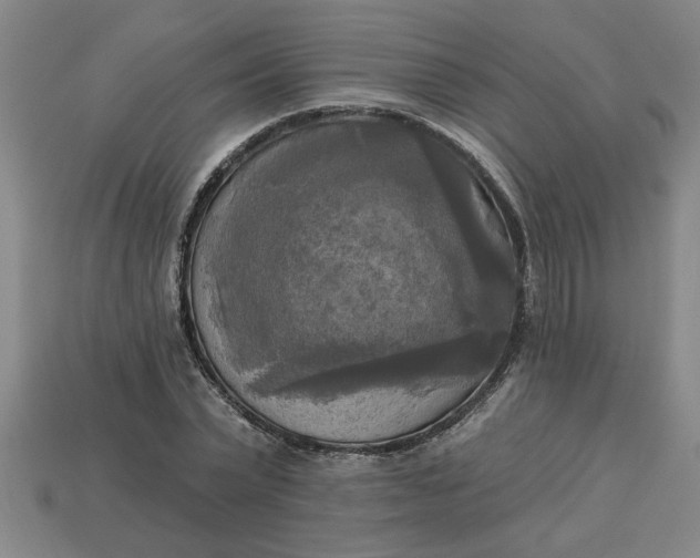 X0000113300783200910051041