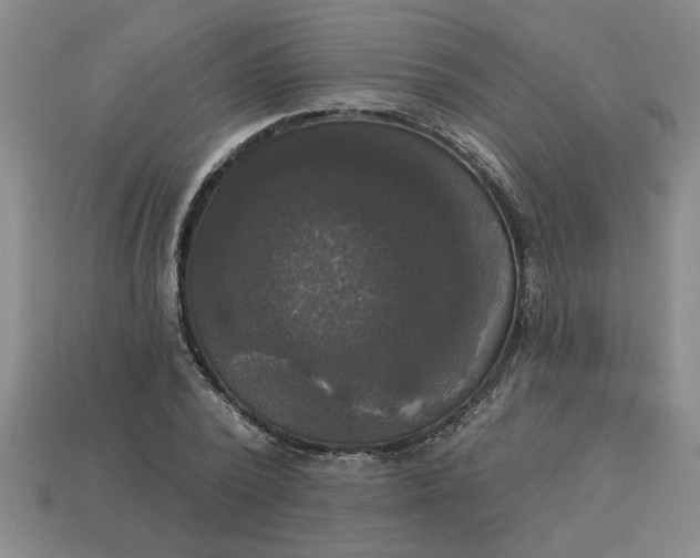 X0000113300784200910051041