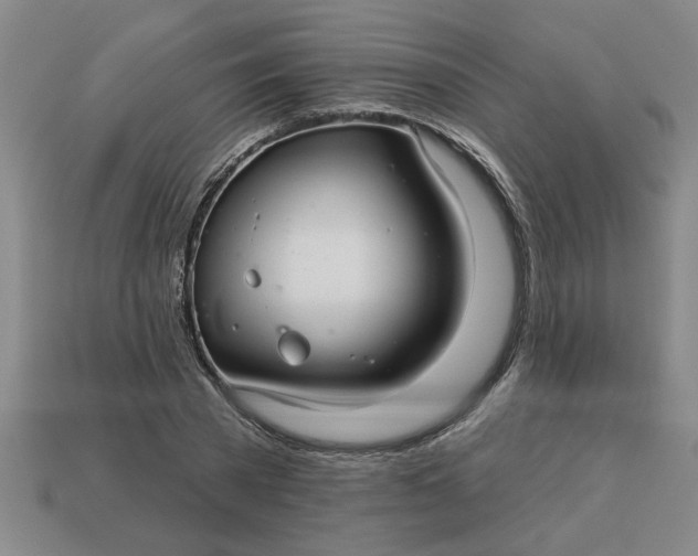 X0000113300785200910051041