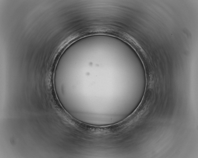 X0000113300786200910051041