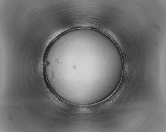 X0000113300787200910051041