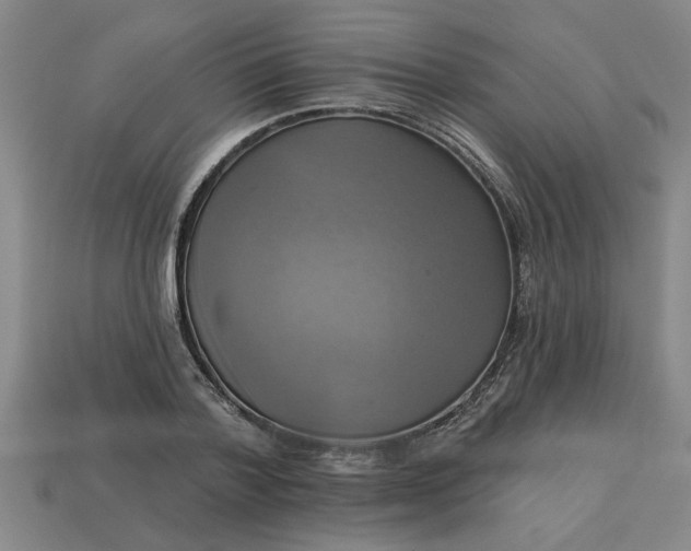 X0000113300788200910051041