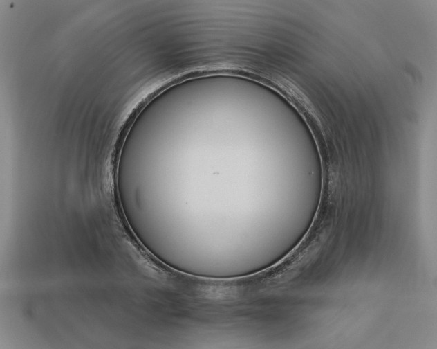 X0000113300789200910051041