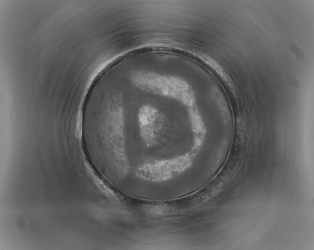 X0000113300791200910051041