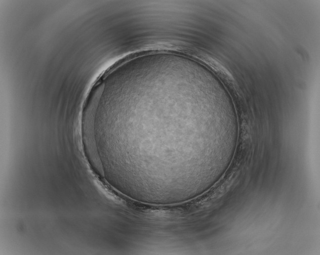 X0000113300792200910051041