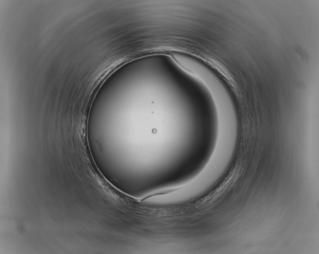 X0000113300793200910051041