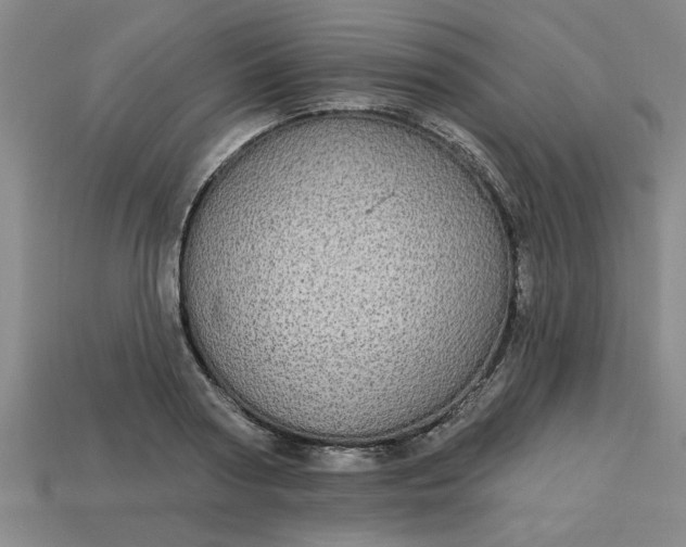 X0000113300794200910051041