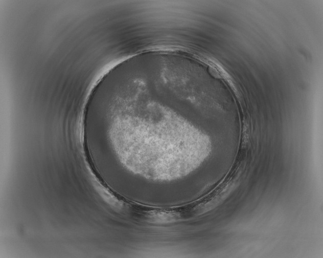 X0000113300795200910051041