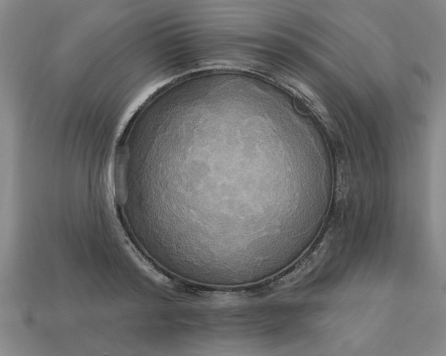 X0000113300796200910051041