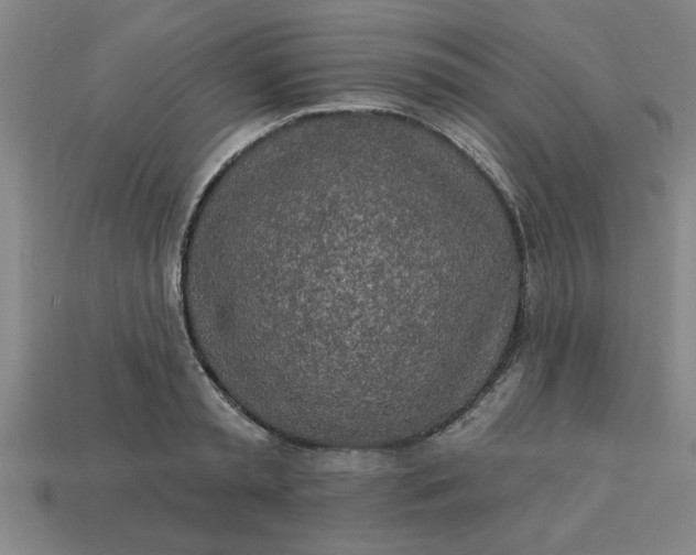 X0000113300797200910051041