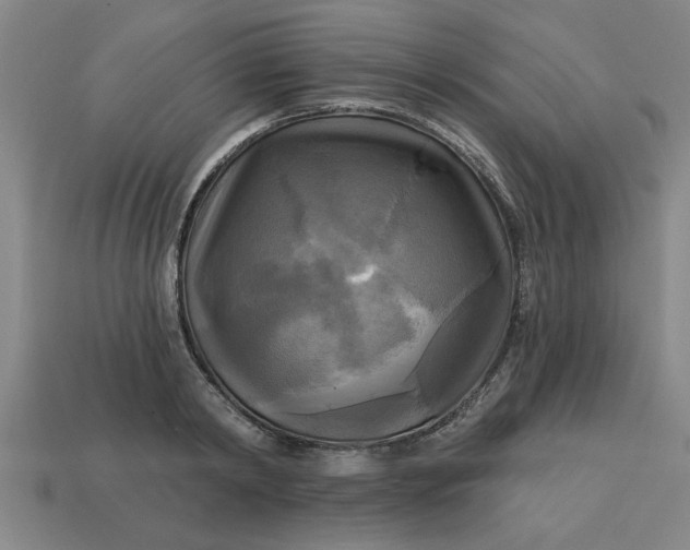 X0000113300798200910051041