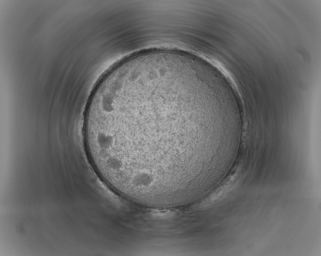 X0000113300799200910051041