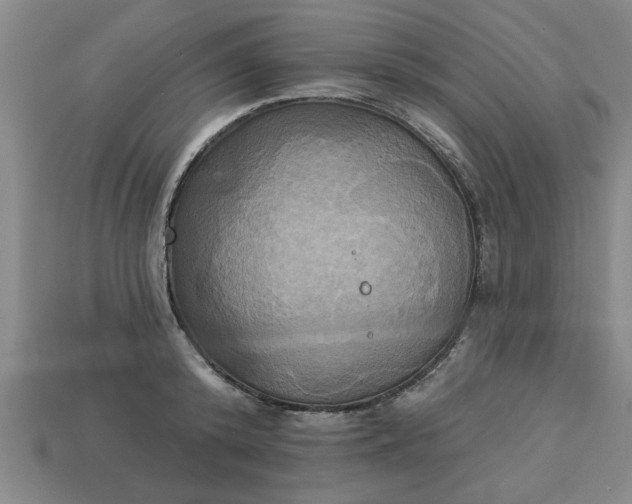 X0000113300800200910051041