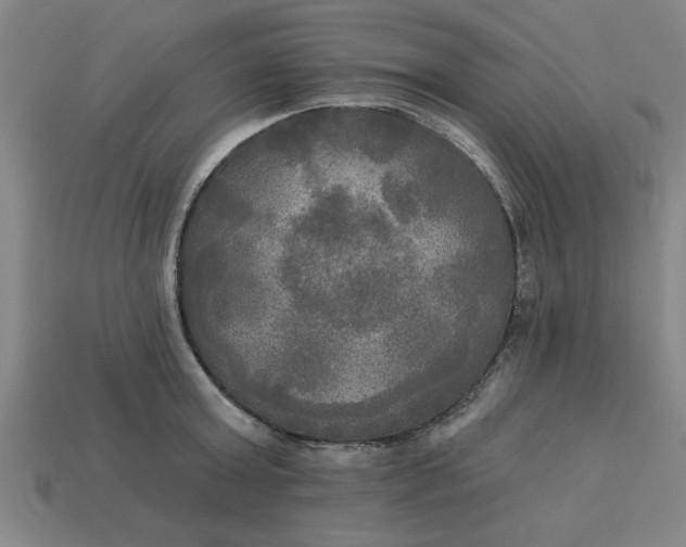 X0000113300803200910051041