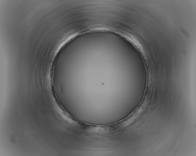 X0000113300806200910051041