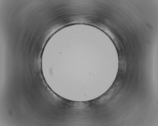 X0000113300807200910051041