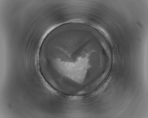 X0000113300808200910051041