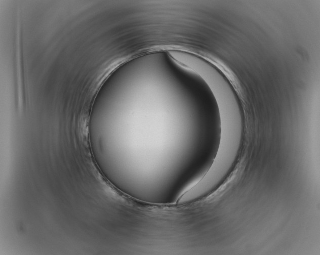 X0000113300809200910051041