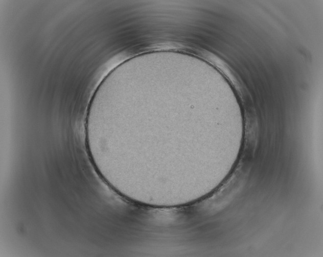 X0000113300810200910051041