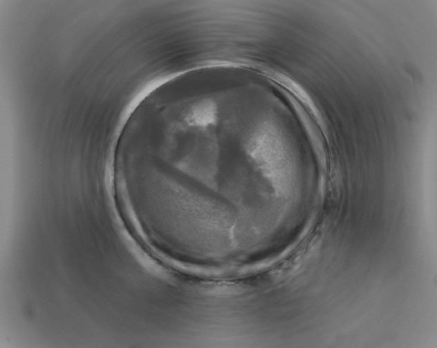 X0000113300811200910051041