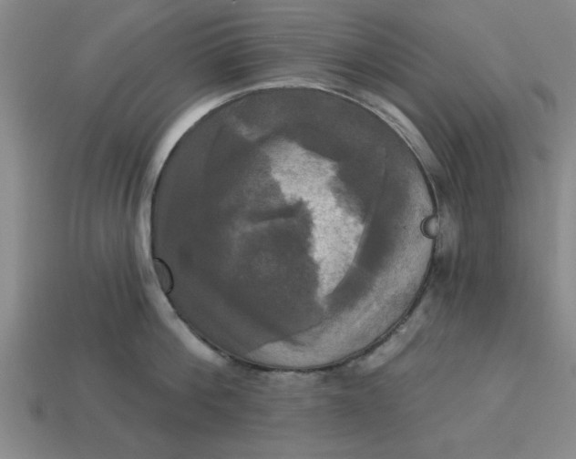 X0000113300812200910051041