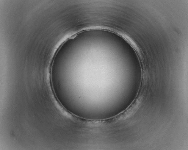 X0000113300813200910051041