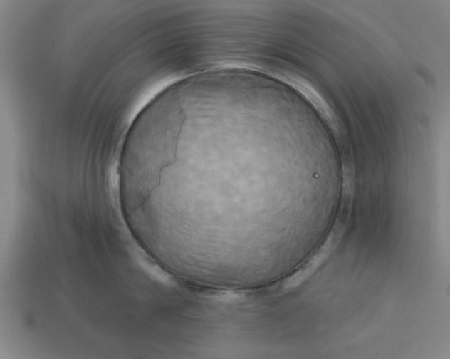 X0000113300814200910051041