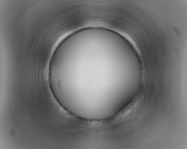 X0000113300815200910051041