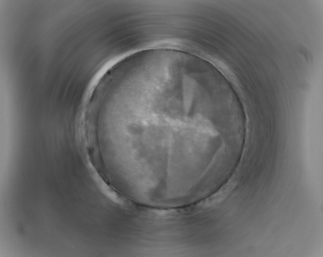 X0000113300816200910051041