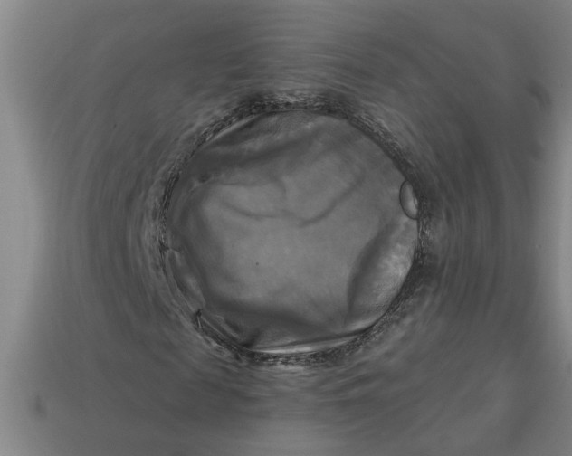 X0000113300817200910051040