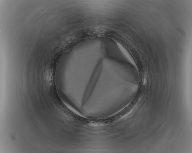 X0000113300818200910051040