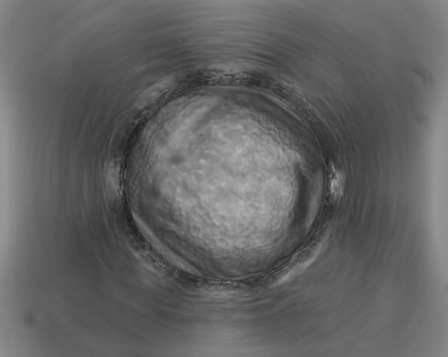 X0000113300819200910051040