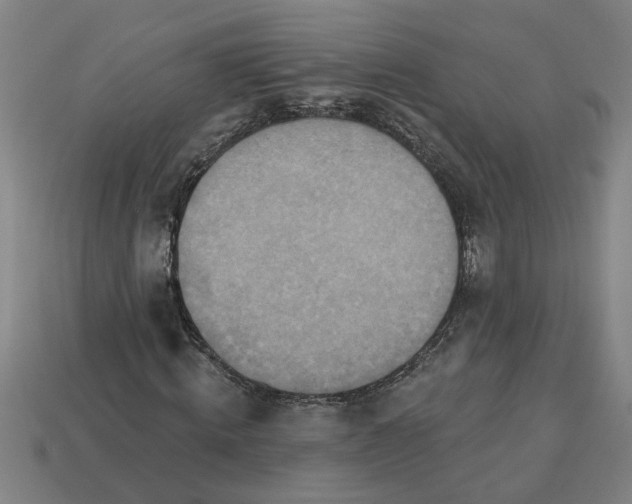 X0000113300820200910051040