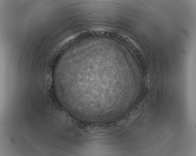 X0000113300821200910051040