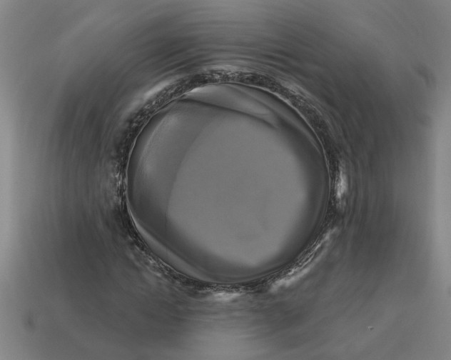 X0000113300822200910051040