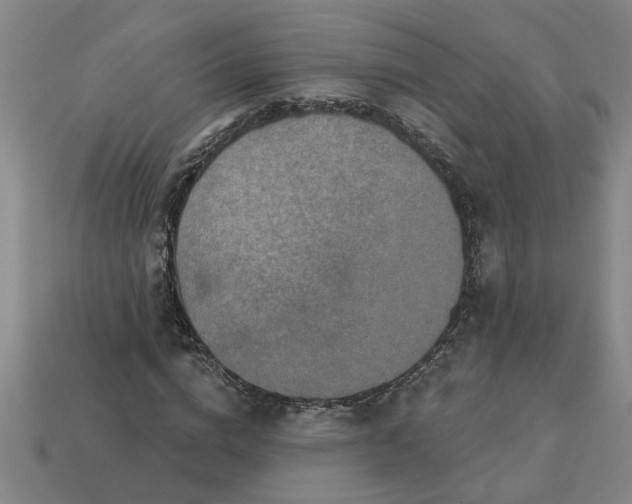 X0000113300824200910051040